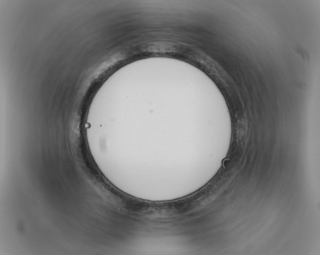 X0000113360727200910131259