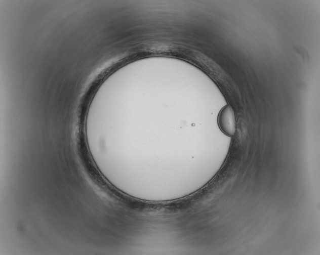 X0000113360728200910131259