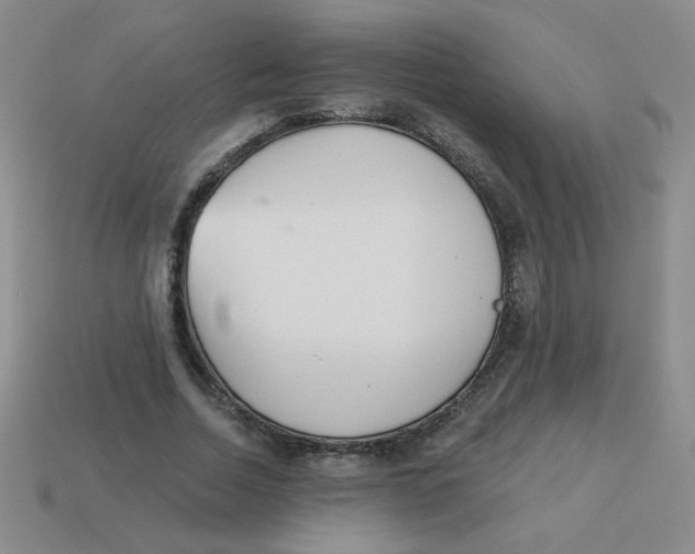 X0000113360730200910131259