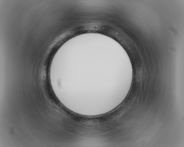 X0000113360731200910131259
