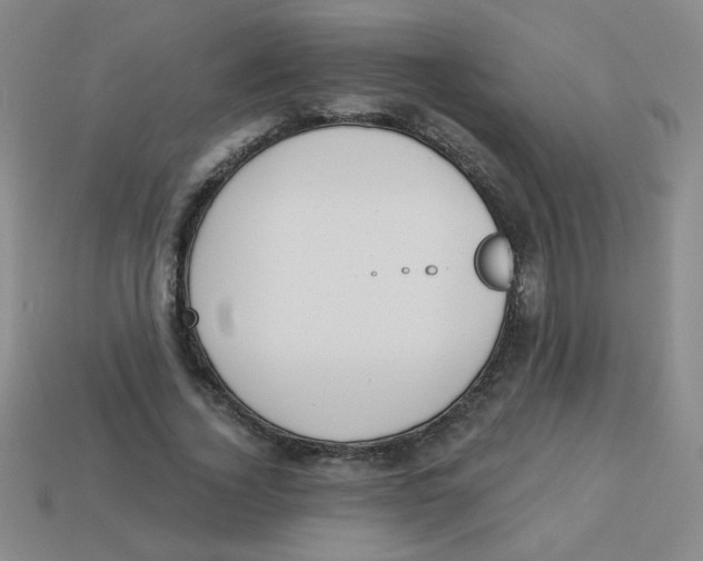 X0000113360732200910131259