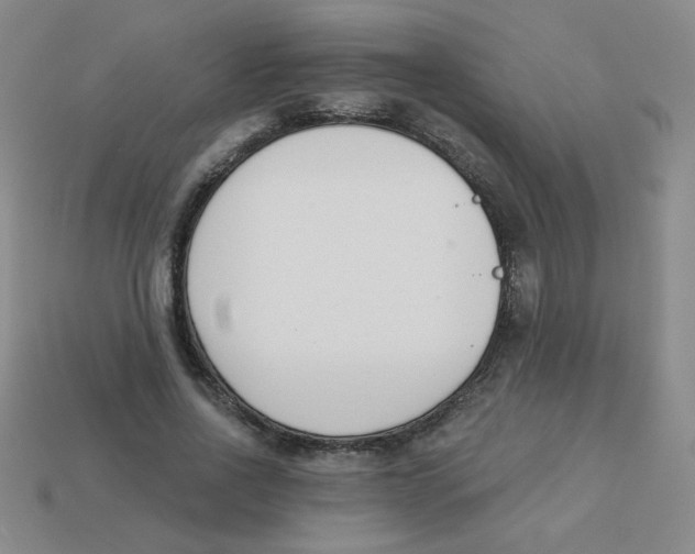 X0000113360734200910131259