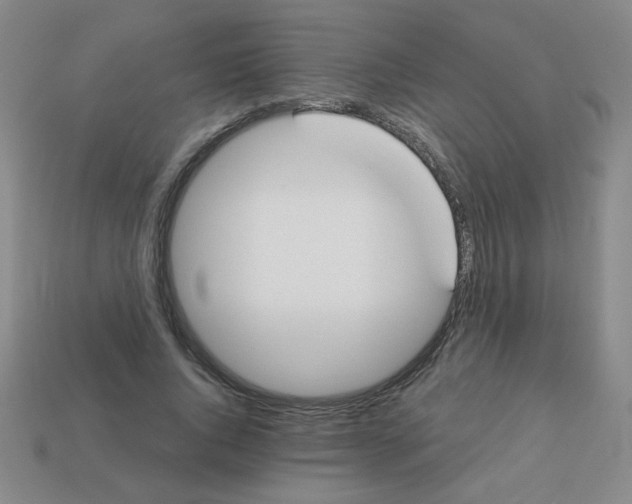 X0000113360736200910131259