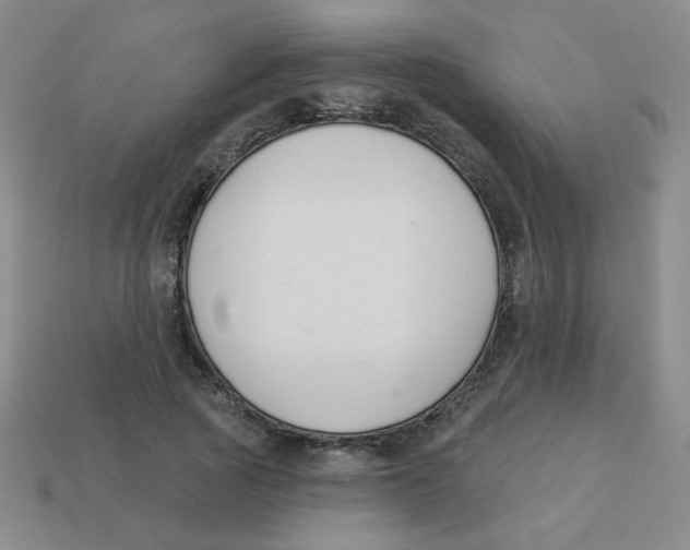 X0000113360737200910131259
