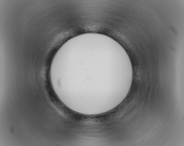 X0000113360738200910131259