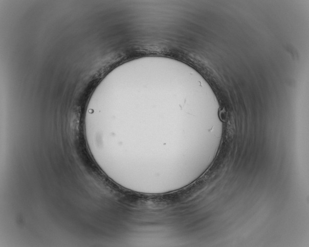 X0000113360739200910131259