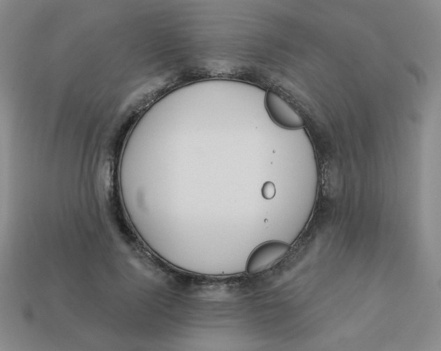 X0000113360740200910131259