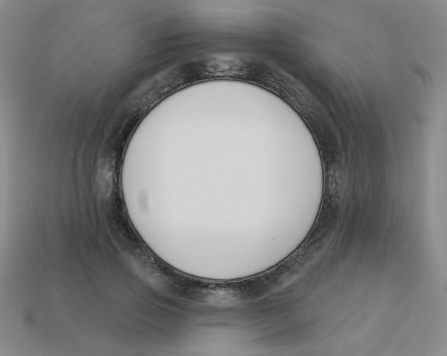 X0000113360741200910131300