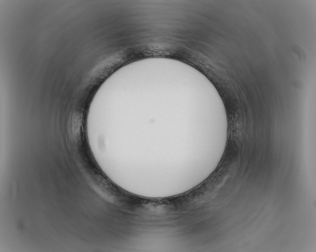 X0000113360742200910131300