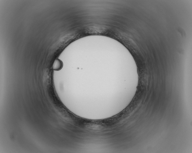 X0000113360743200910131300