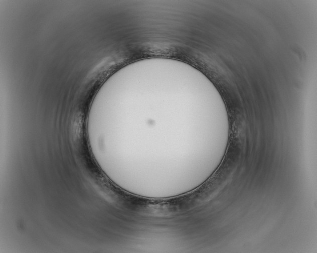 X0000113360744200910131300