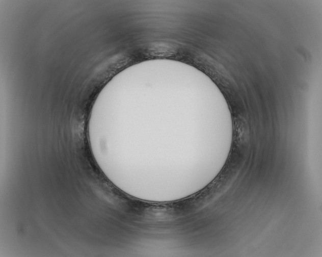 X0000113360745200910131300