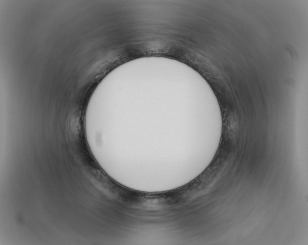X0000113360746200910131300