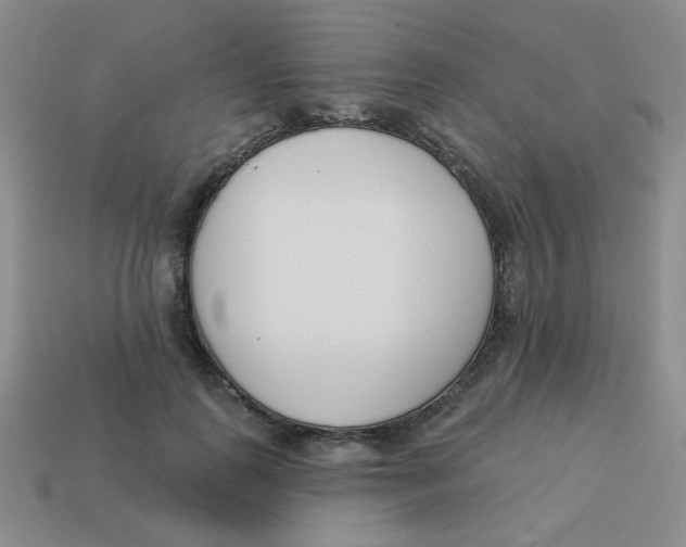 X0000113360747200910131300
