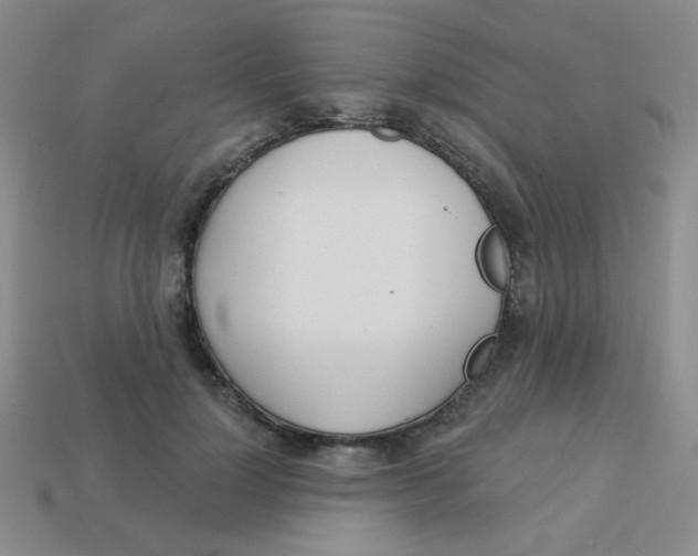 X0000113360748200910131300