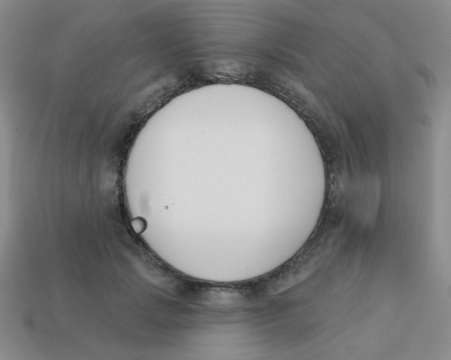 X0000113360749200910131300