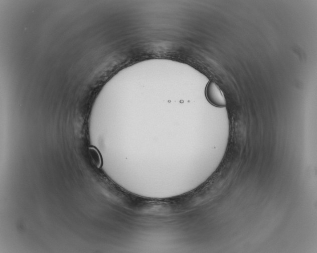 X0000113360750200910131300