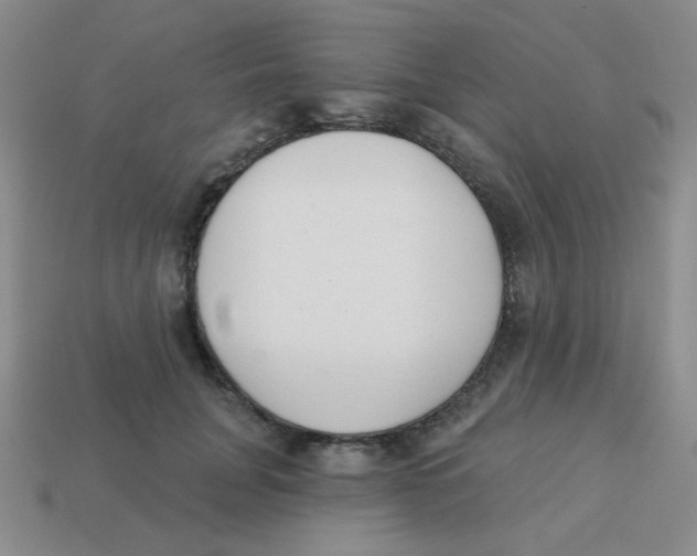 X0000113360751200910131300
