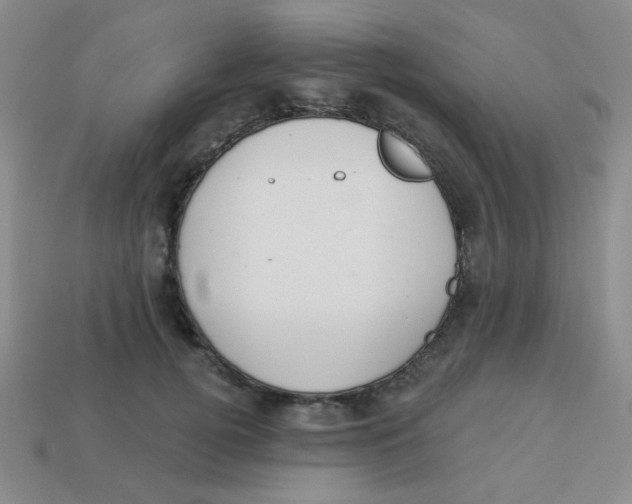 X0000113360752200910131300