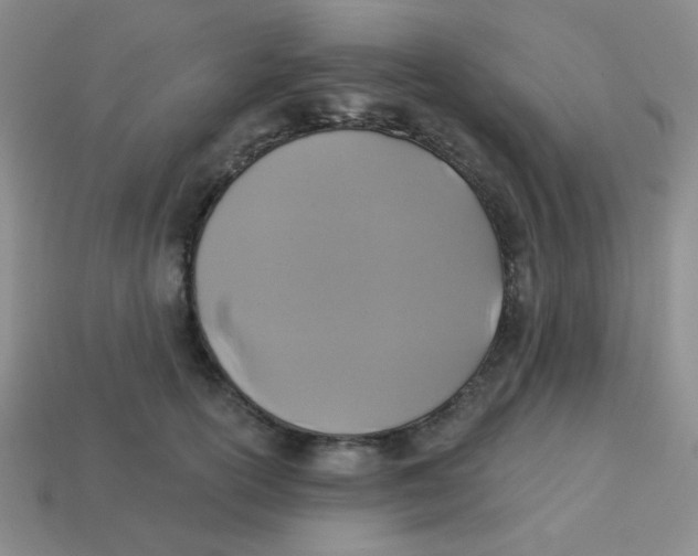 X0000113360754200910131300