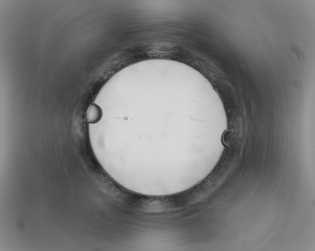 X0000113360755200910131300