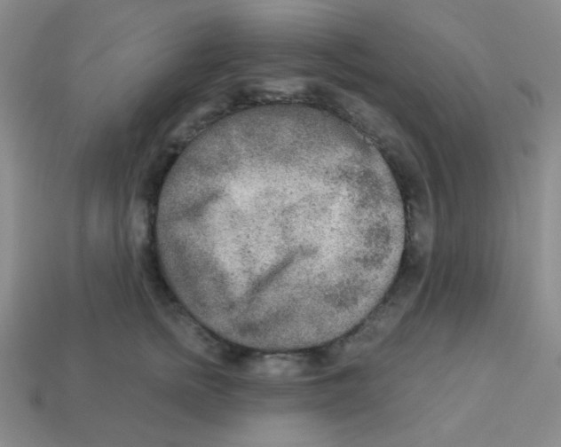 X0000113360758200910131300