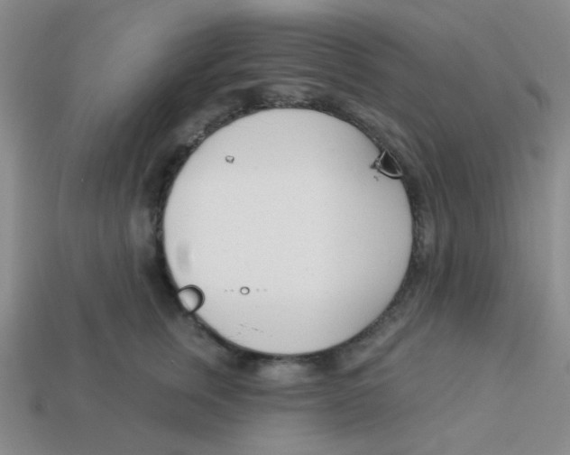 X0000113360759200910131300