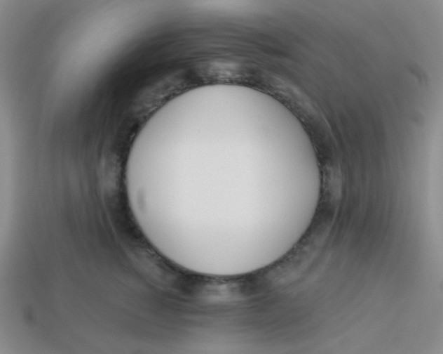 X0000113360760200910131300