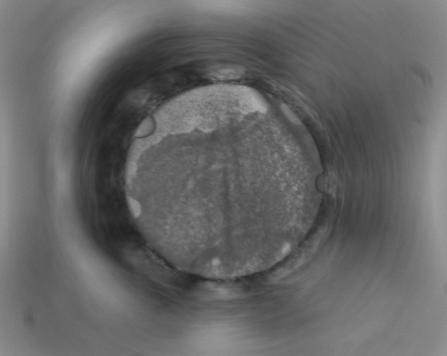X0000113360763200910131300