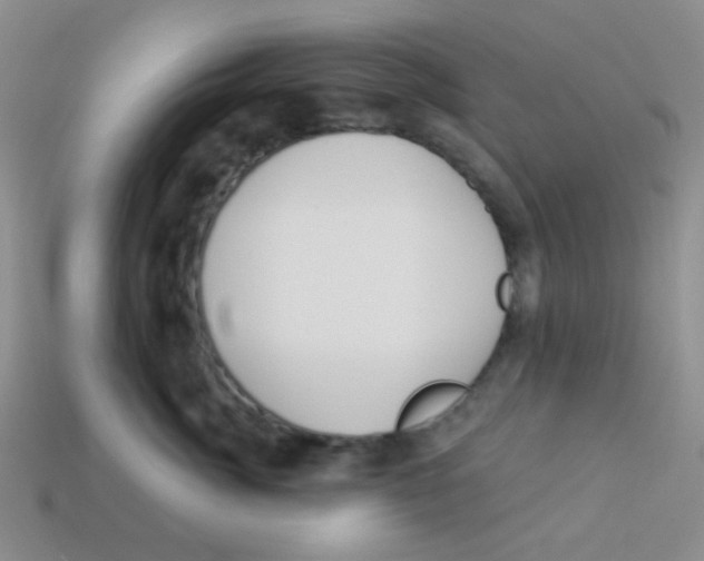 X0000113360764200910131300