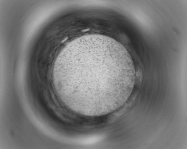 X0000113360765200910131300