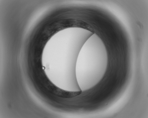 X0000113360766200910131300