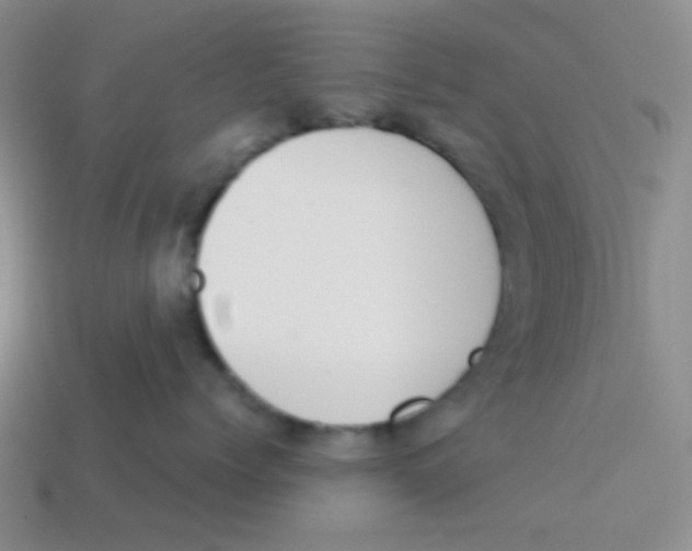 X0000113360768200910131300