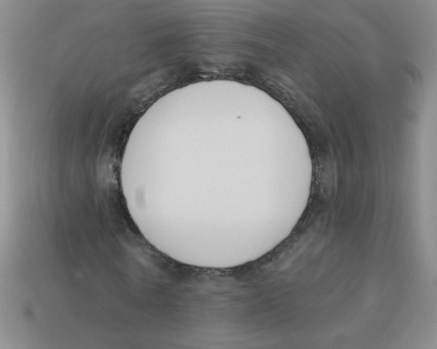 X0000113360770200910131259