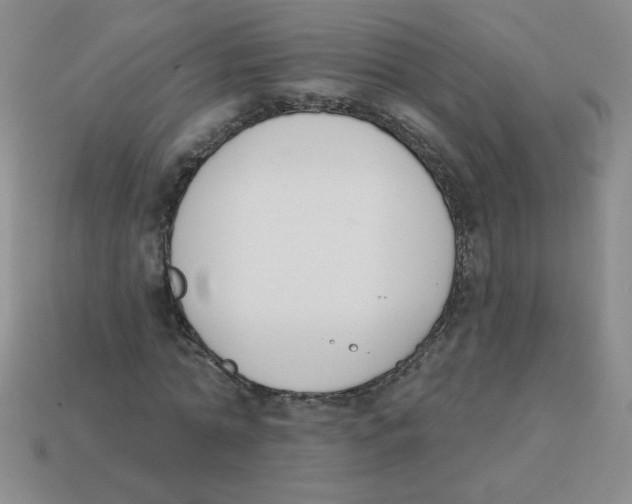 X0000113360774200910131259