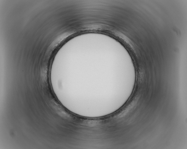 X0000113360778200910131259