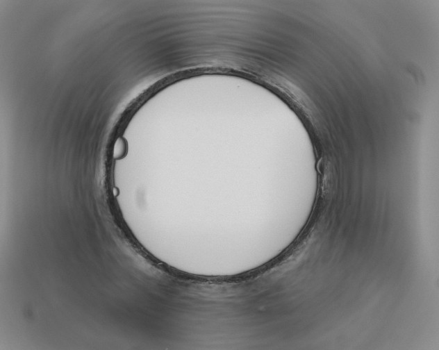 X0000113360780200910131259