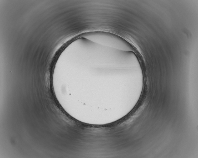 X0000113360781200910131259
