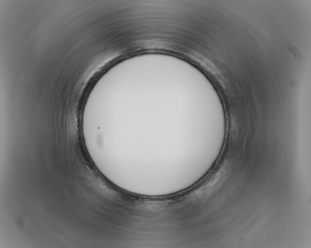 X0000113360782200910131259