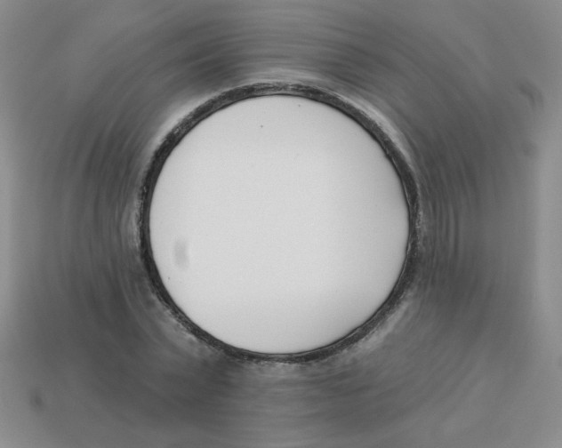 X0000113360783200910131259