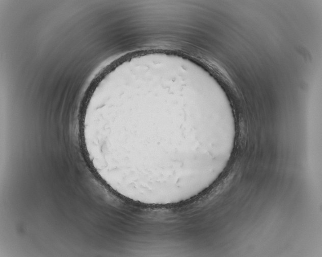 X0000113360784200910131259