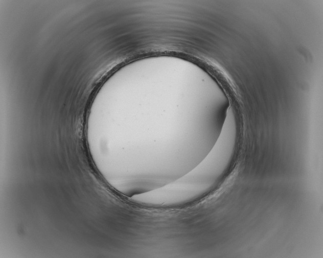X0000113360785200910131259