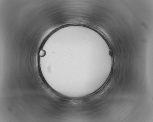 X0000113360788200910131259