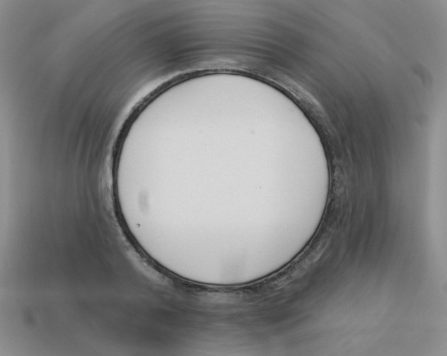 X0000113360792200910131259