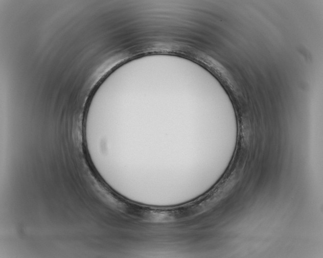X0000113360794200910131259