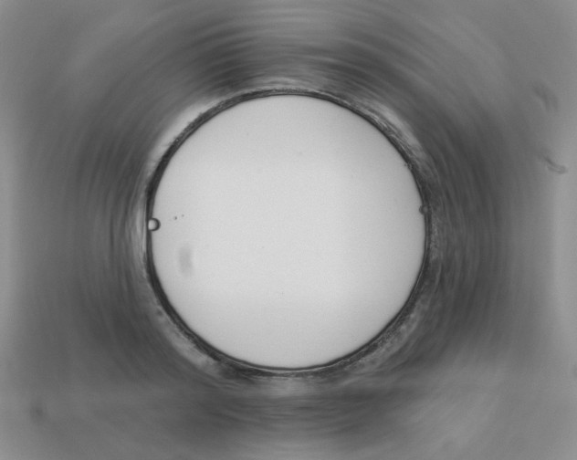 X0000113360796200910131259