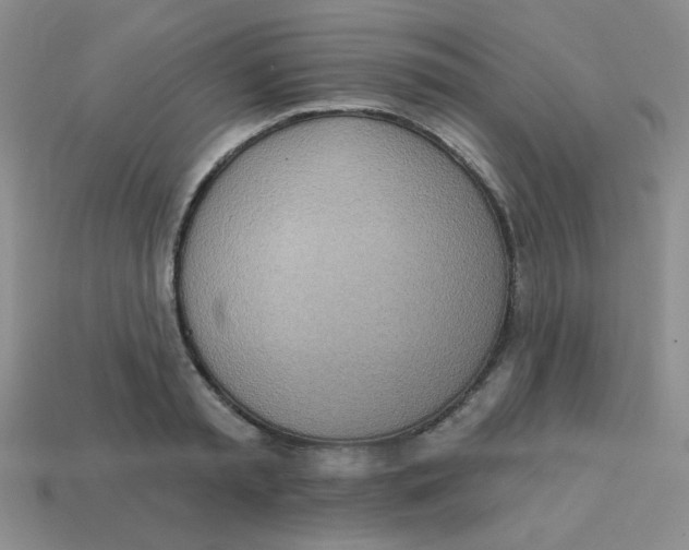 X0000113360797200910131259