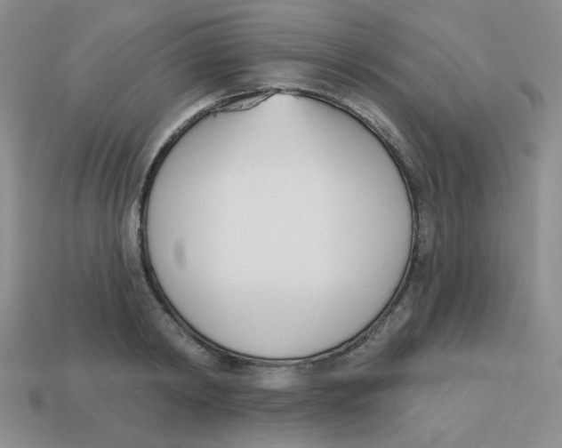 X0000113360798200910131259