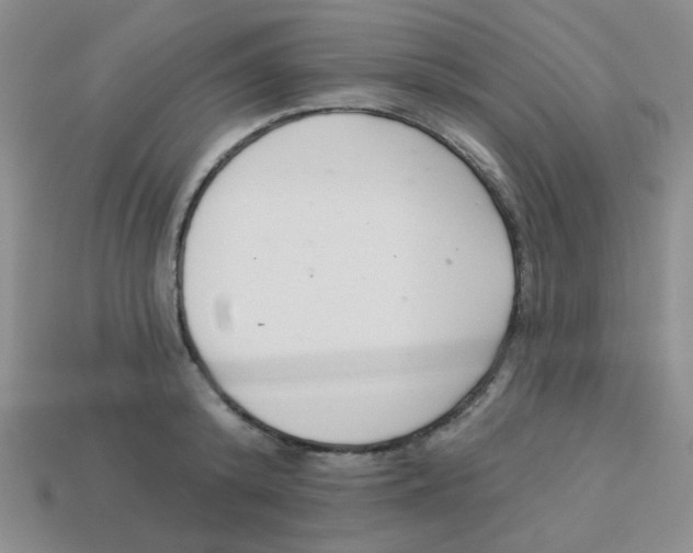 X0000113360800200910131259
