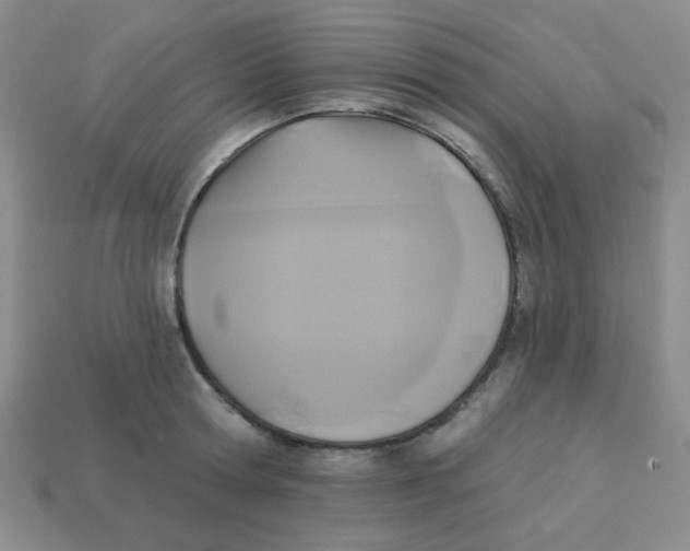 X0000113360802200910131259